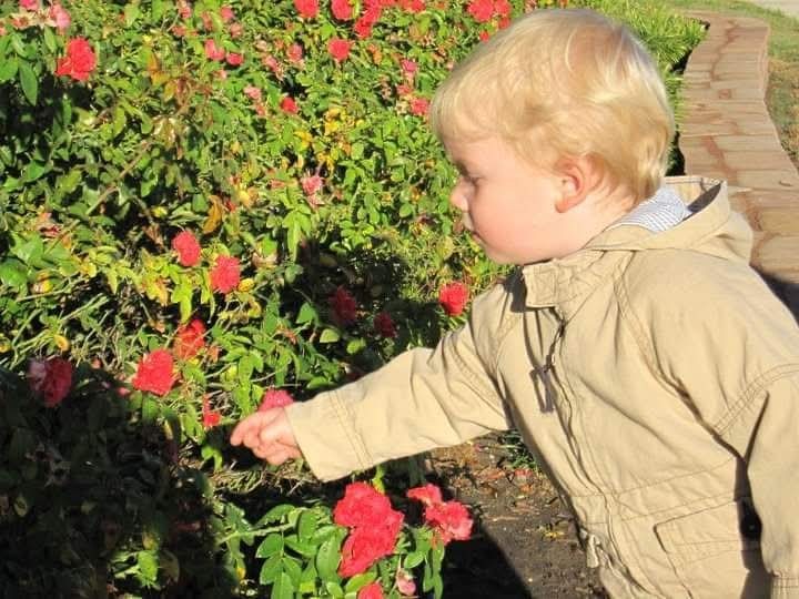 A child exploring flowers in a garden